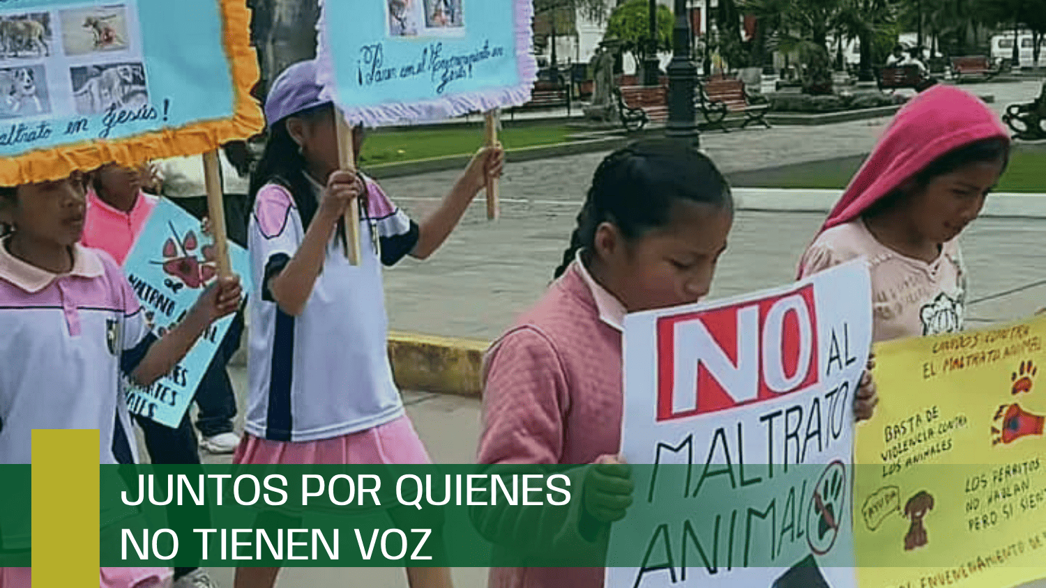 Juntos por quienes NO tienen Voz