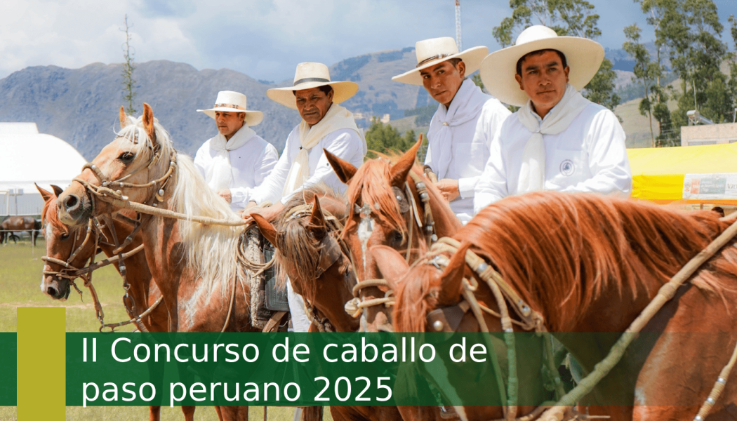 II Concurso de caballo de paso peruano 2025